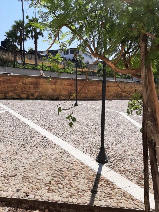 A Due Passi Dalla Cattedrale Apartment Palermo Ngoại thất bức ảnh
